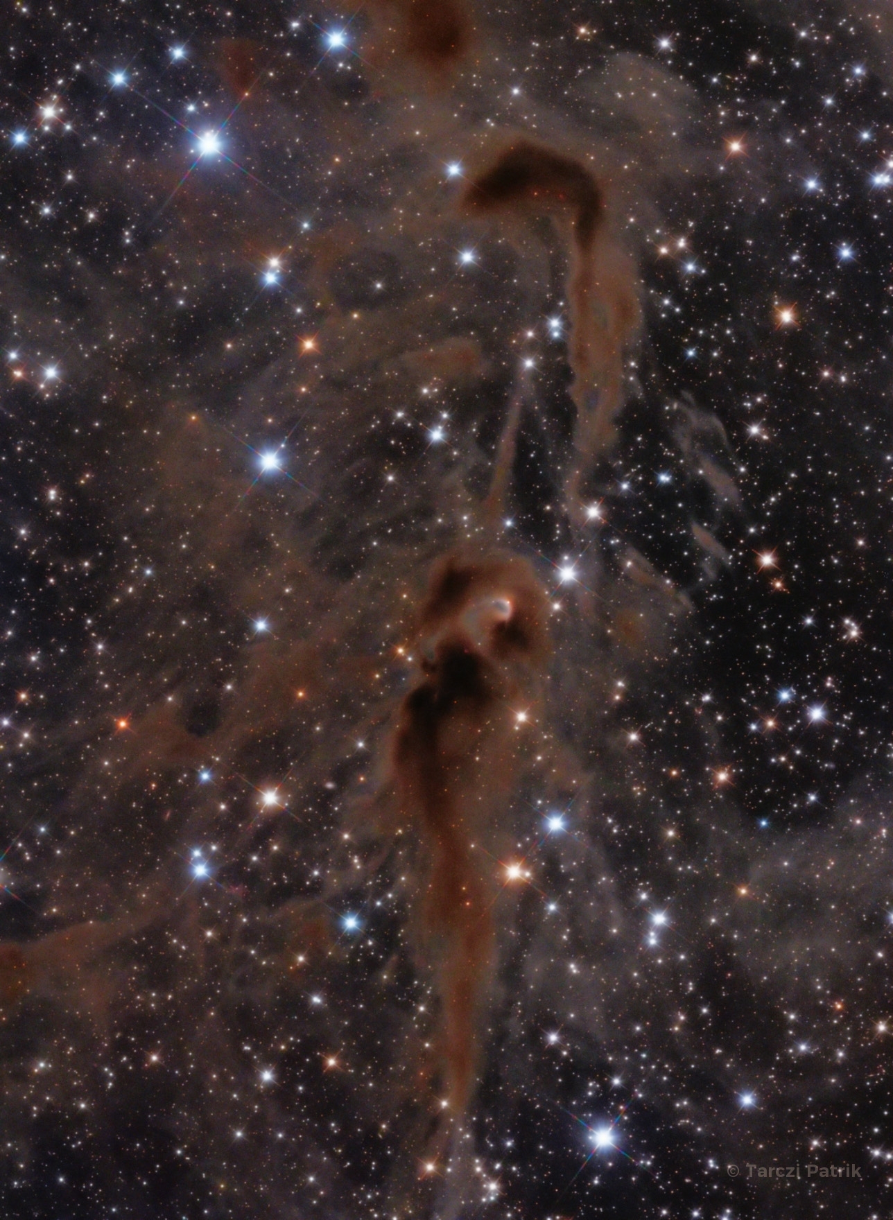 The Foal Nebula