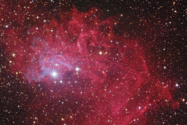 The Flaming Star Nebula