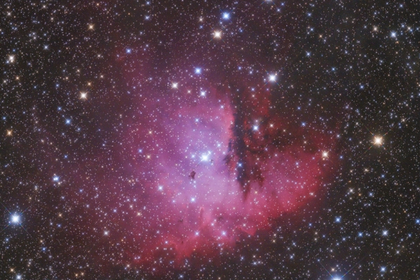 The Pacman Nebula