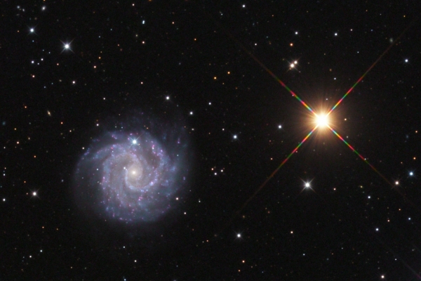 NGC3184 galaxy